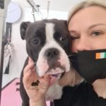 pearse_square_dog_grooming_cork_18-150x150-1.jpg
